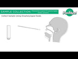 COVID-19 Antigen Rapid Test Kit